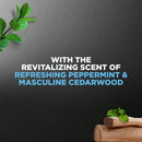 Dove Men+Care Recover Hydrating 3-in-1 Men's Body Wash All Skin Peppermint, 18 oz