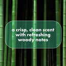 Dove Men +Care Whole Body Deo Stick, Bamboo & Aloe 2.6 oz