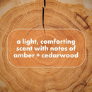 Dove Men +Care Whole Body Deo Stick, Shea Butter & Cedar 2.6 oz