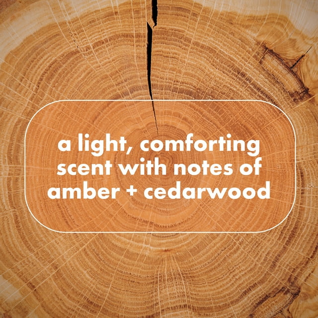 Dove Men +Care Whole Body Deo Stick, Shea Butter & Cedar 2.6 oz