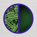 Lysol Power and Free Multi-Purpose Citrus Sparkle Cleaner Spray - 22 fl oz